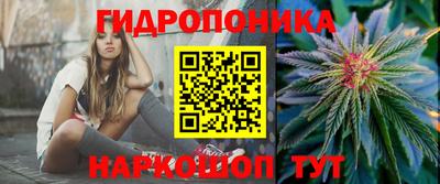 эйфоретик Абинск